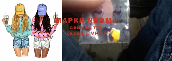 прущие грибы Михайлов