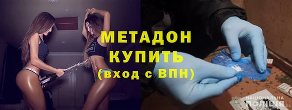 прущие грибы Михайлов
