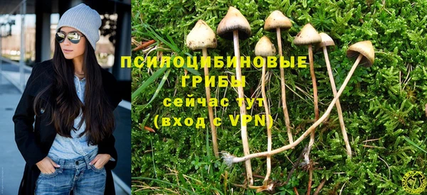 тгк Надым