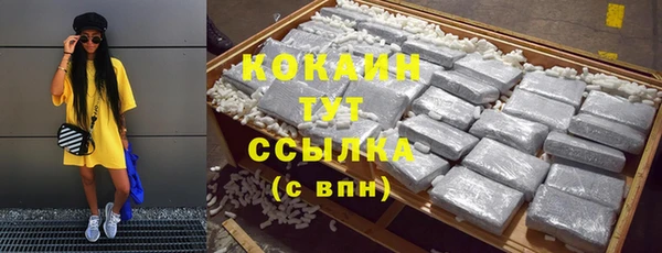 прущие грибы Михайлов