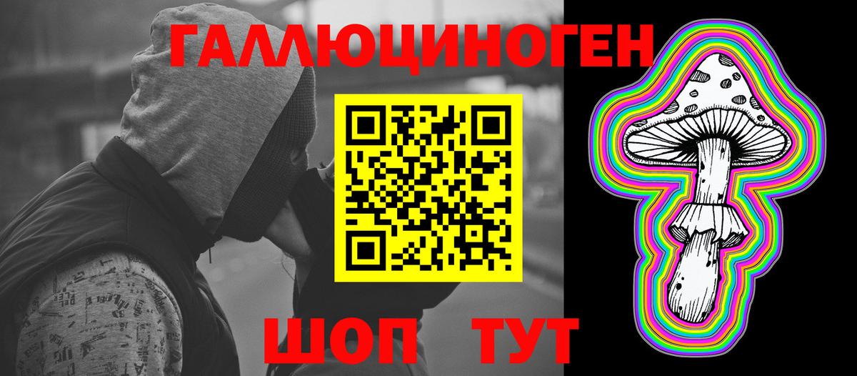 как найти   Мыски  Псилоцибиновые грибы ЛСД 