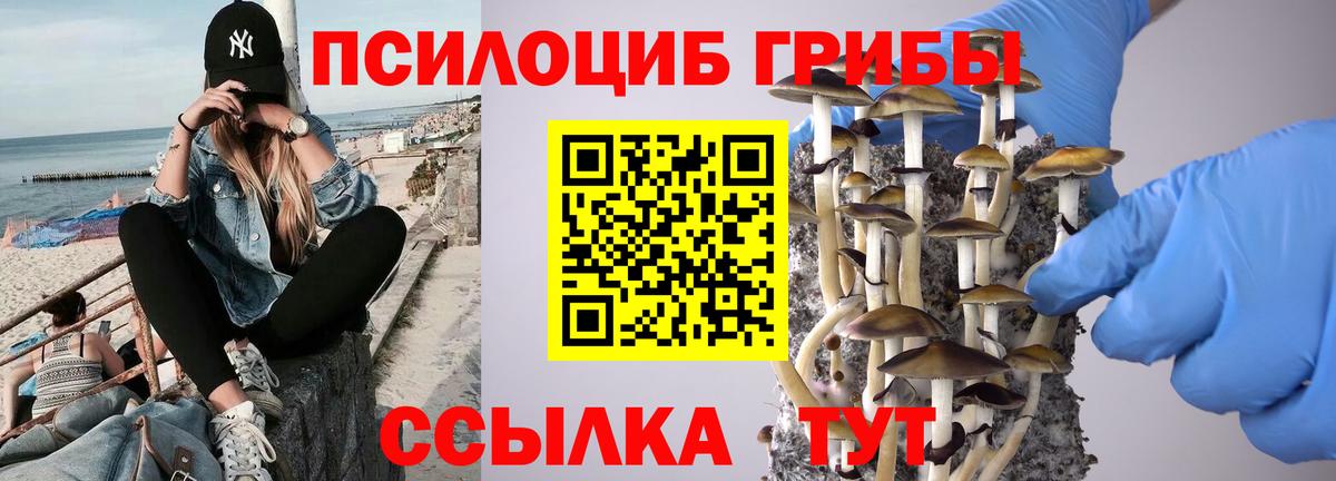 Псилоцибиновые грибы мицелий Мыски